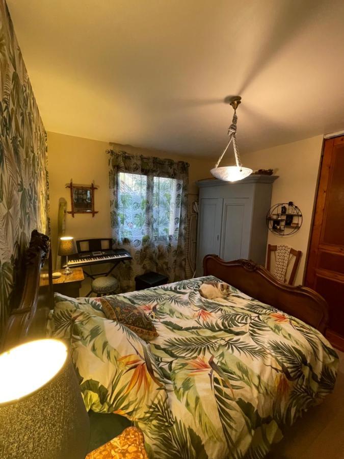 Duud Apartment Castanet-Tolosan Екстериор снимка